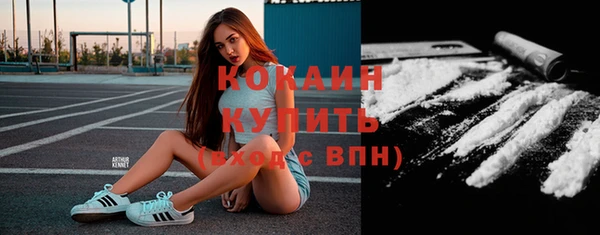 крисы Дмитров