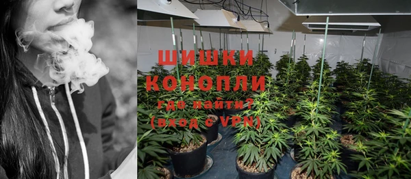 дурь Гусев
