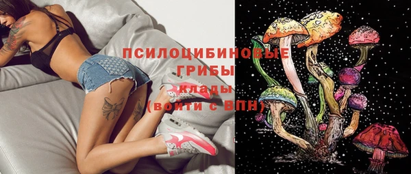 крисы Дмитров